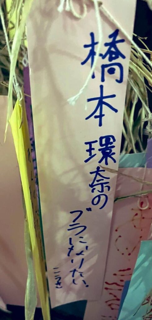 "I want to be Hashimoto Kanna's (Japanese actress) bra"
A man's secret wish?