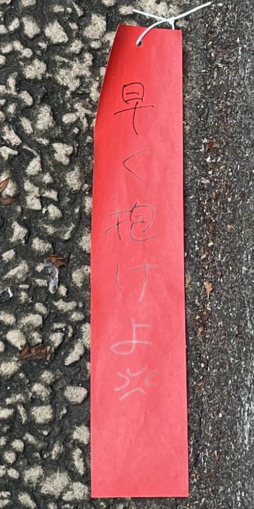 "Hurry up and fuck me." Is she dating a shy guy?