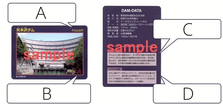 DamCard