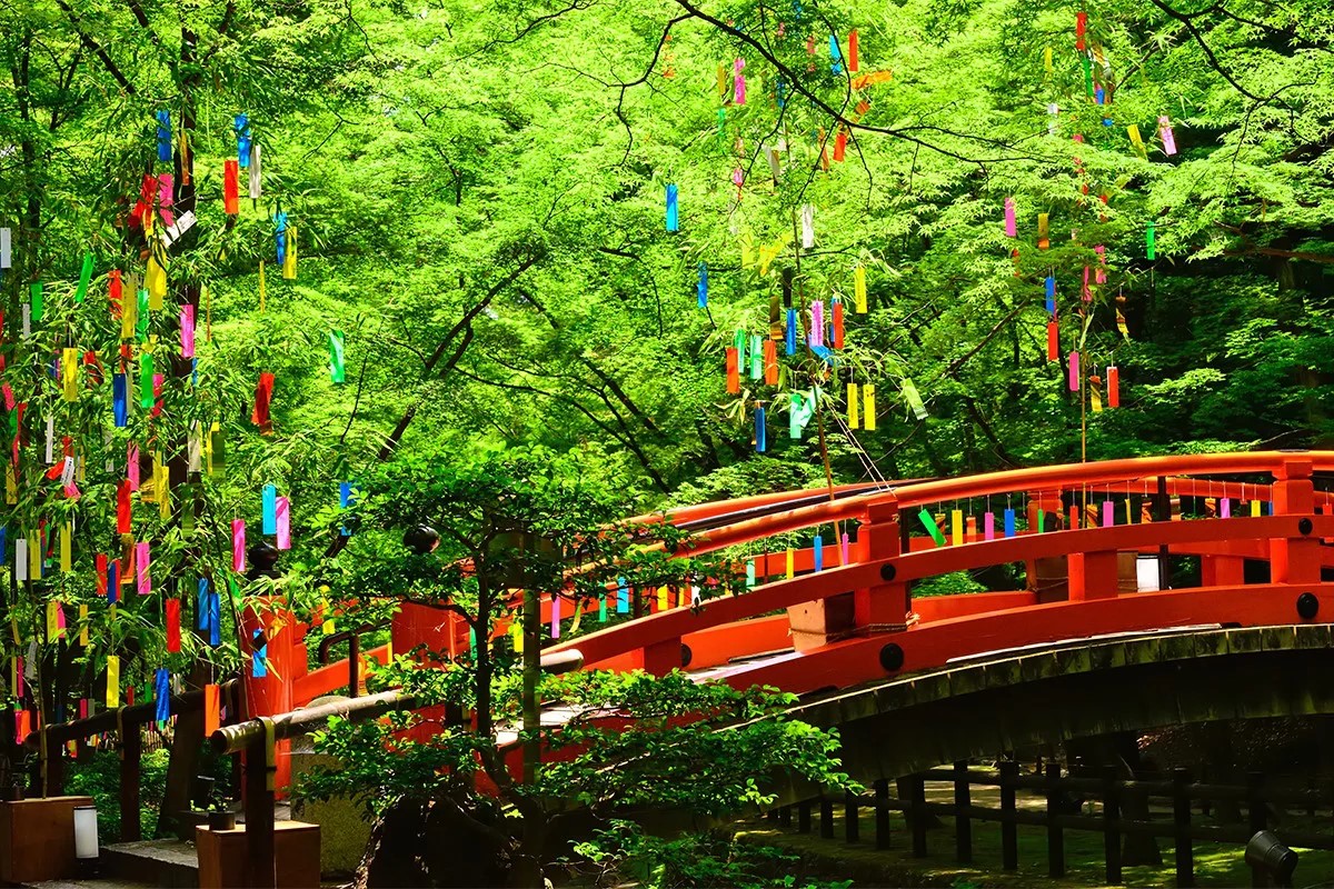 Tanabata bamboo decorations with colorful tanzaku in Japan