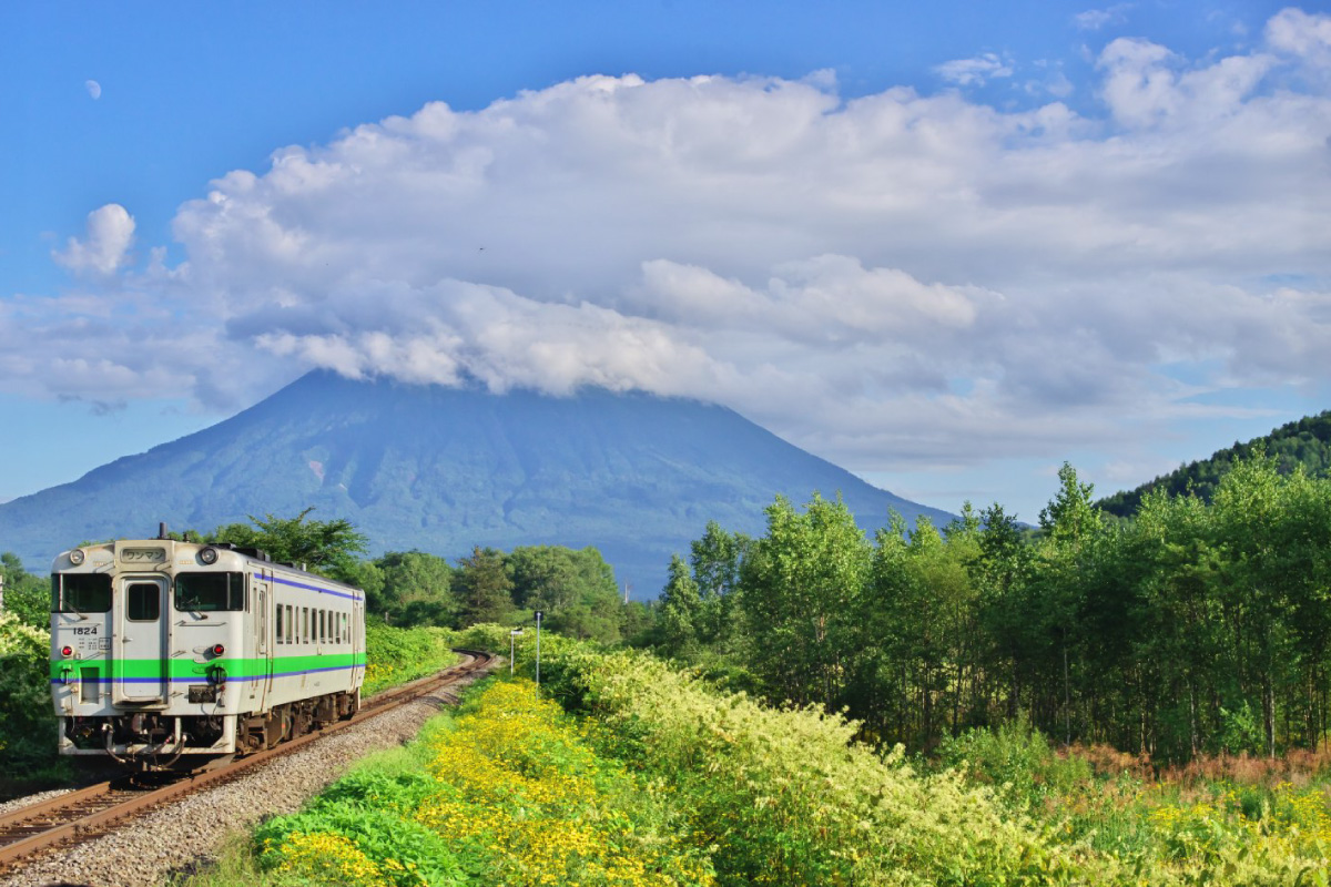 train and scenery