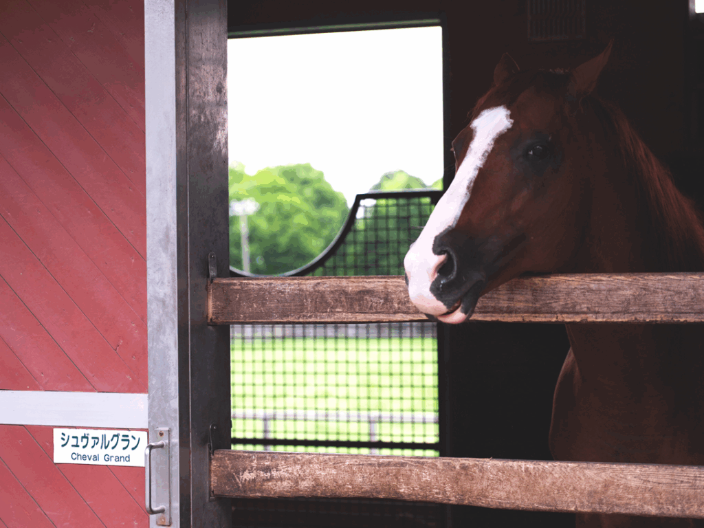 Cheval Grand. Photo: Andre Z.
