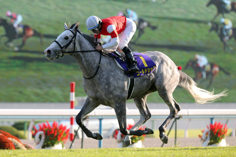 GoldShip