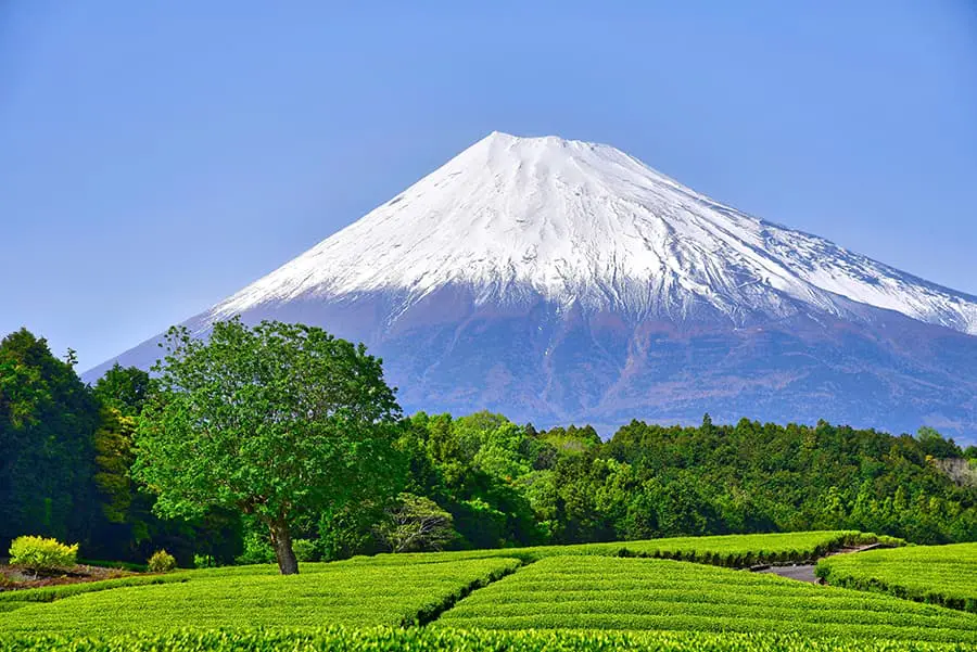 Mount Fuji seen from Shizuoka Prefecture