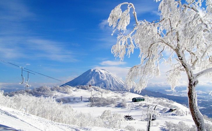 Niseko snow