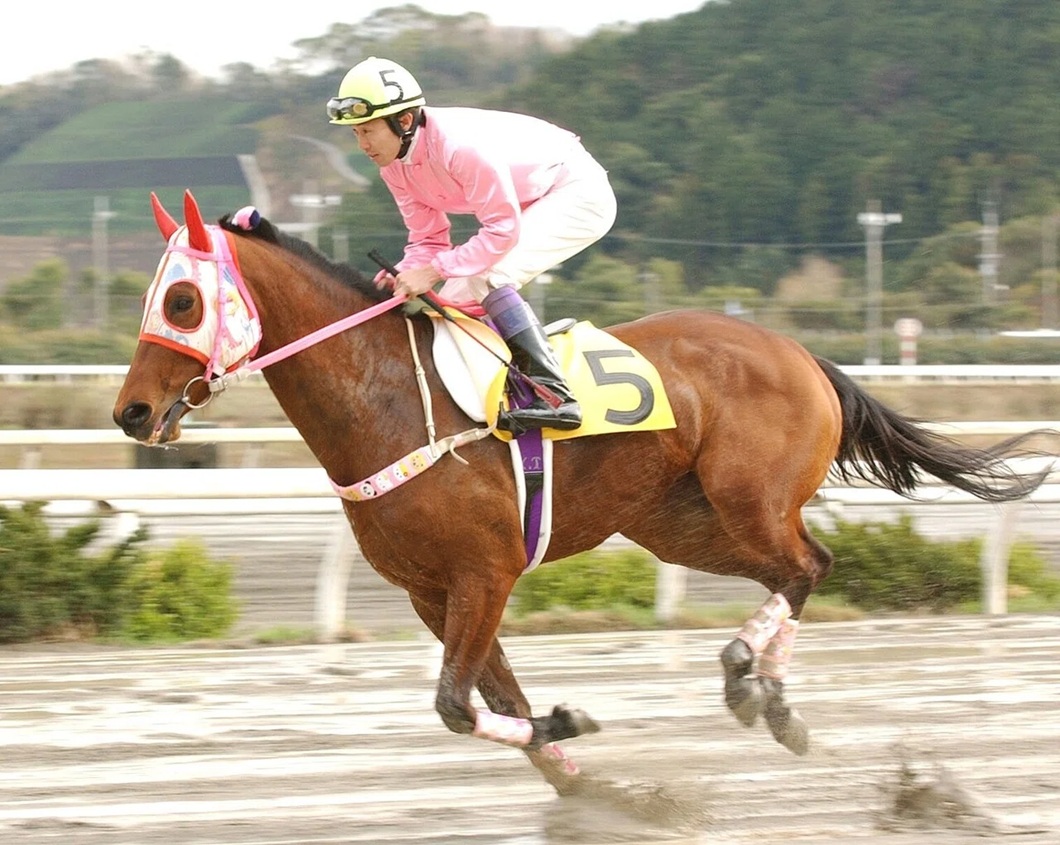 Haru Urara ©TOKYO-SPORTS,