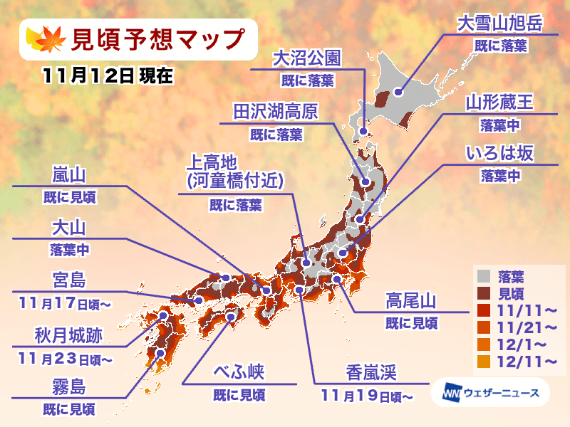 The areas painted gray have already shed their leaves, while the areas painted red are currently at their peak for autumn foliage. As the colors shift closer to orange, the prime viewing period gradually shifts later.
